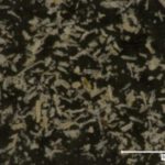 木粉粒子の形状 ~ミクロの世界を見てみよう!~