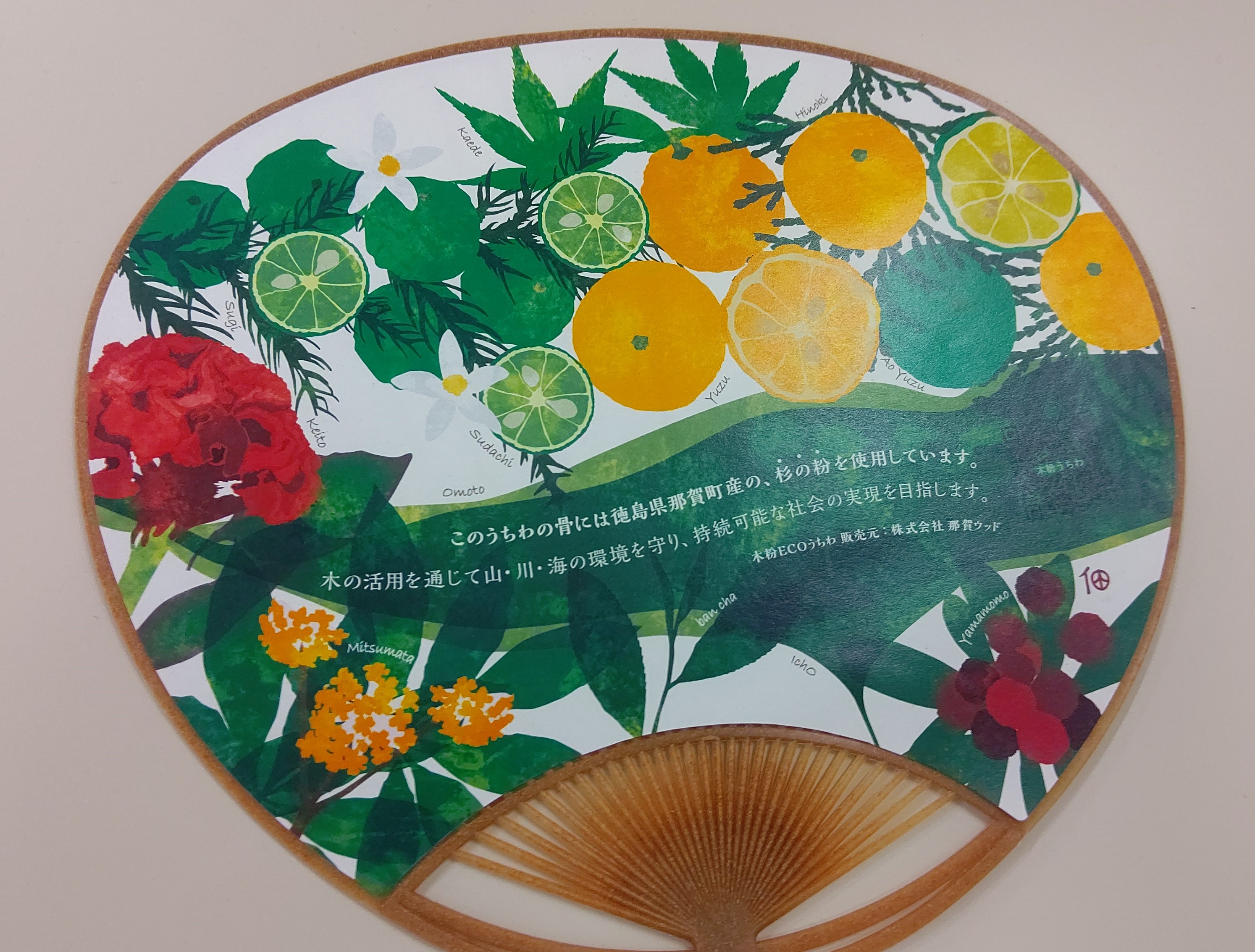 木粉ECOうちわ | 高品質な国産木粉と木粉活用製品