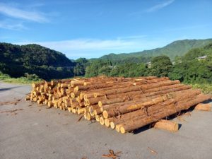 徳島県産の認証木粉の製造